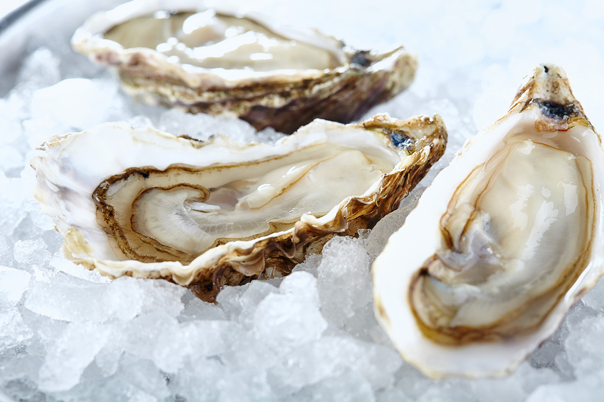 Loch Fyne Oysters On Ice