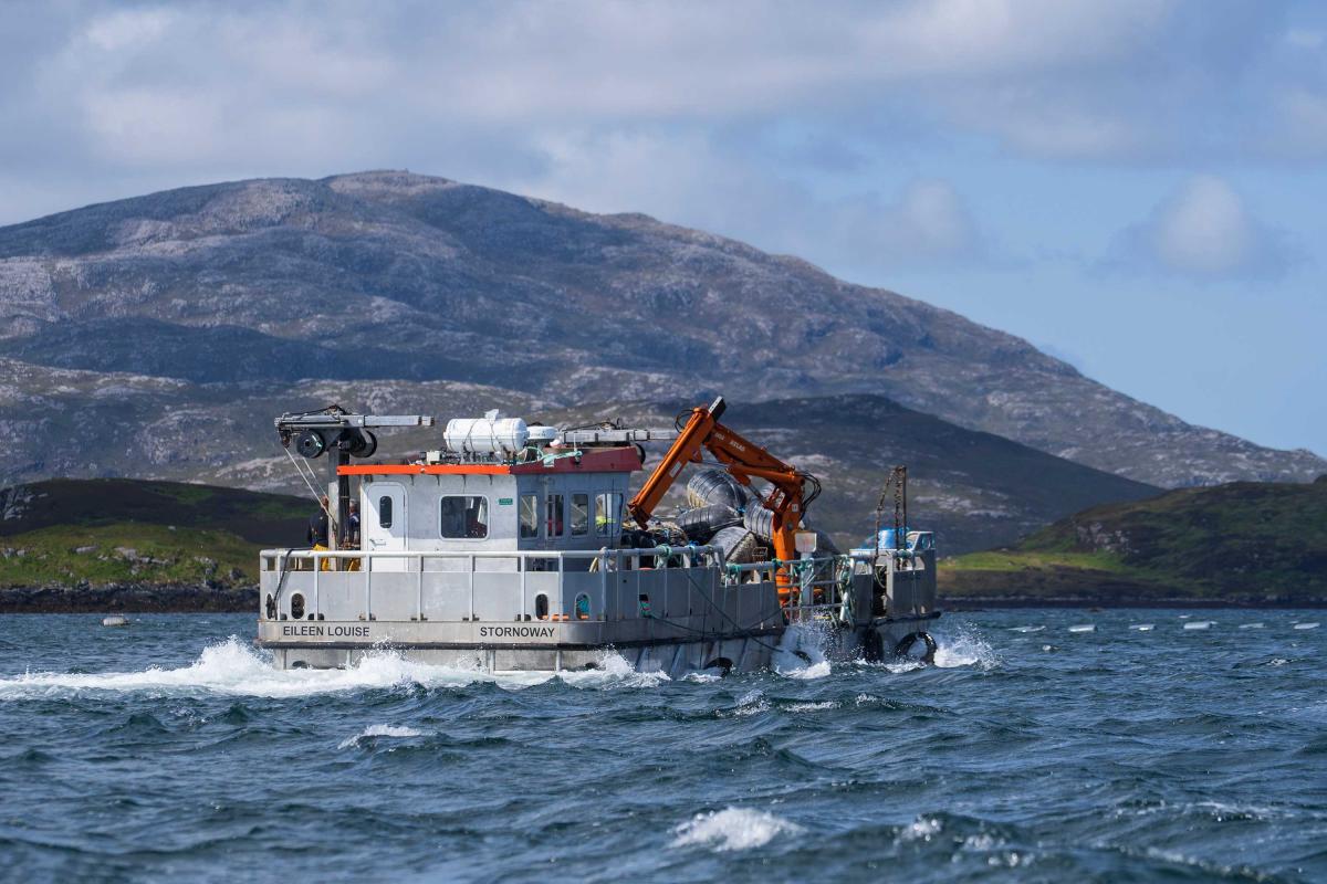 Loch Fyne Mussels - Hebrides Scenes