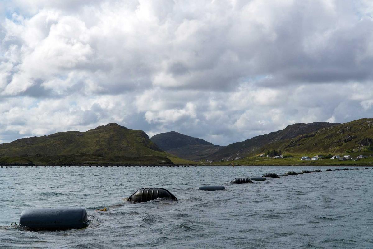Loch Fyne Mussels - Hebrides Scenes
