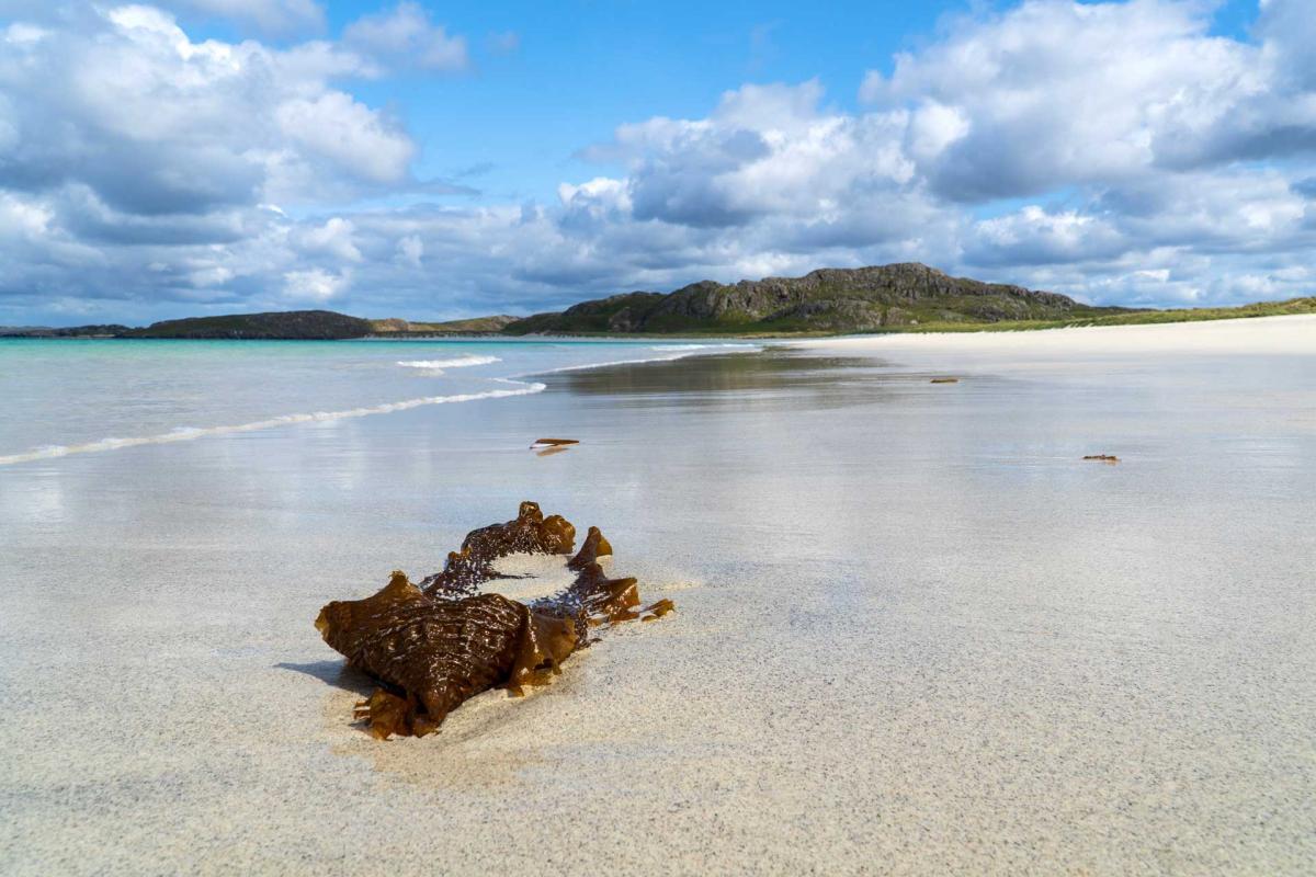 Loch Fyne Mussels - Hebrides Scenes