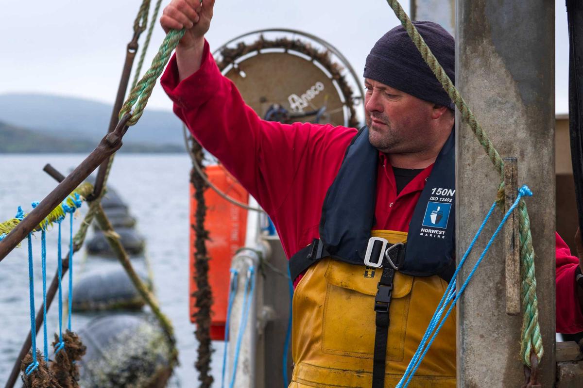 Loch Fyne Mussels - Production