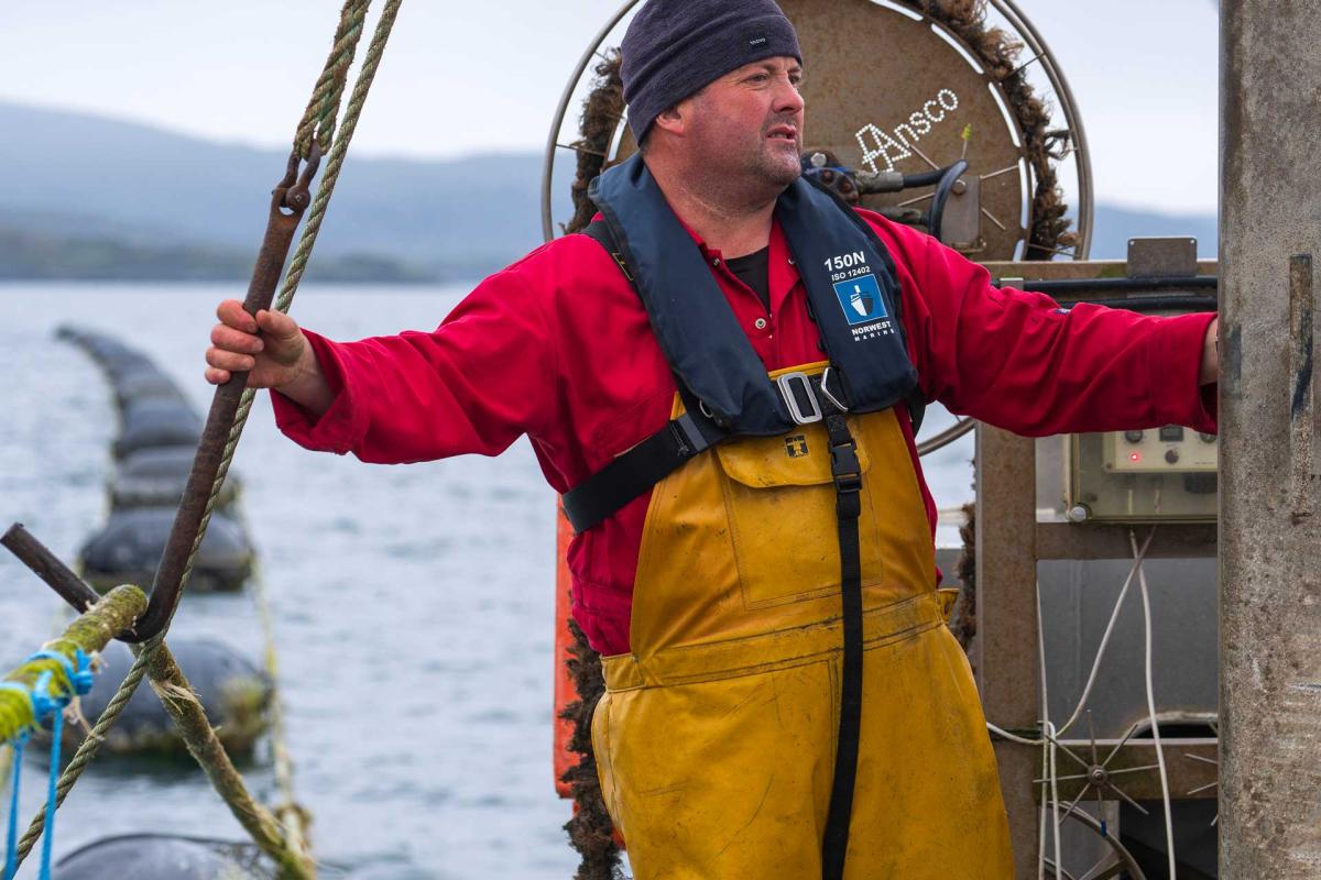 Loch Fyne Mussels - Production
