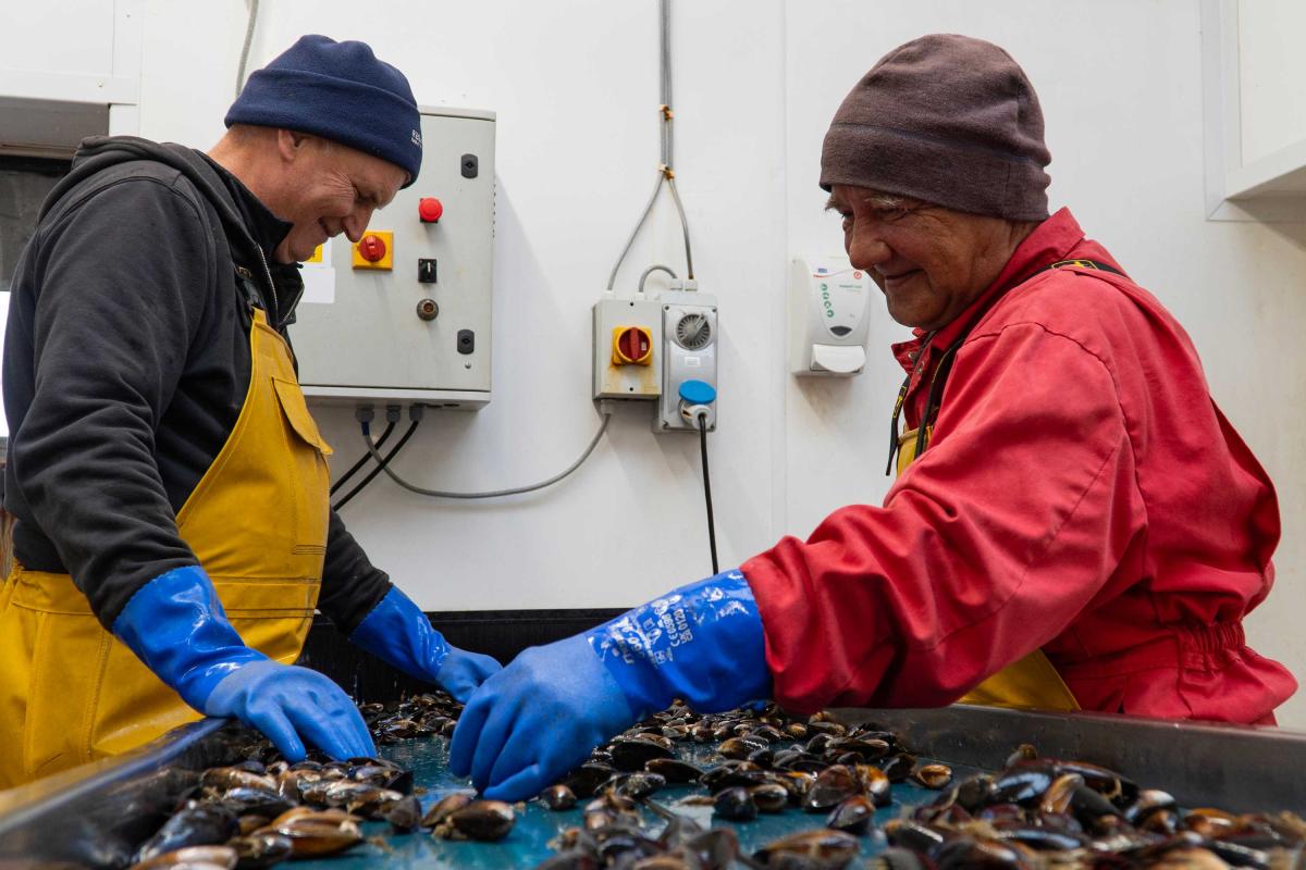 Loch Fyne Mussels - Production
