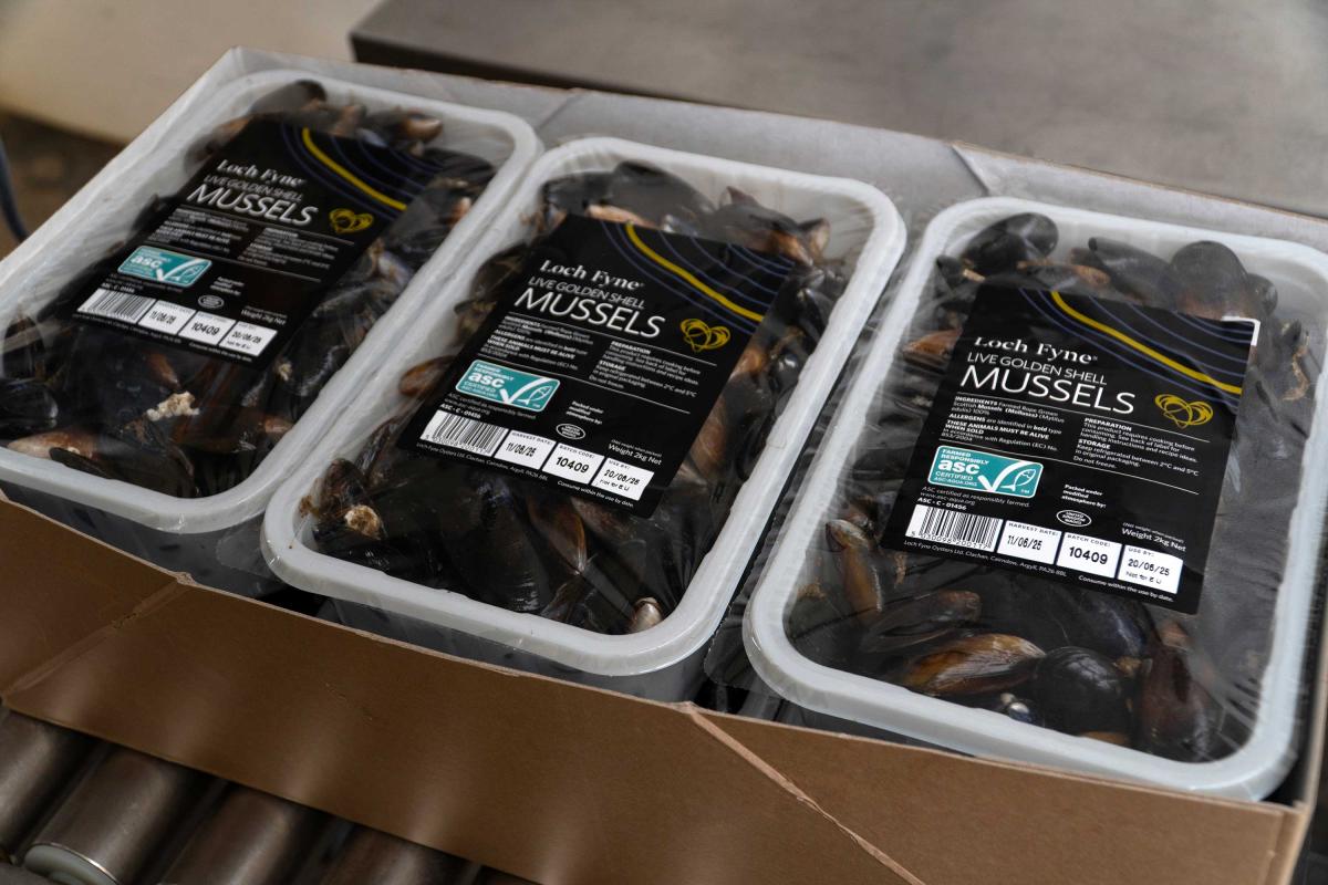 Loch Fyne Mussels - Production