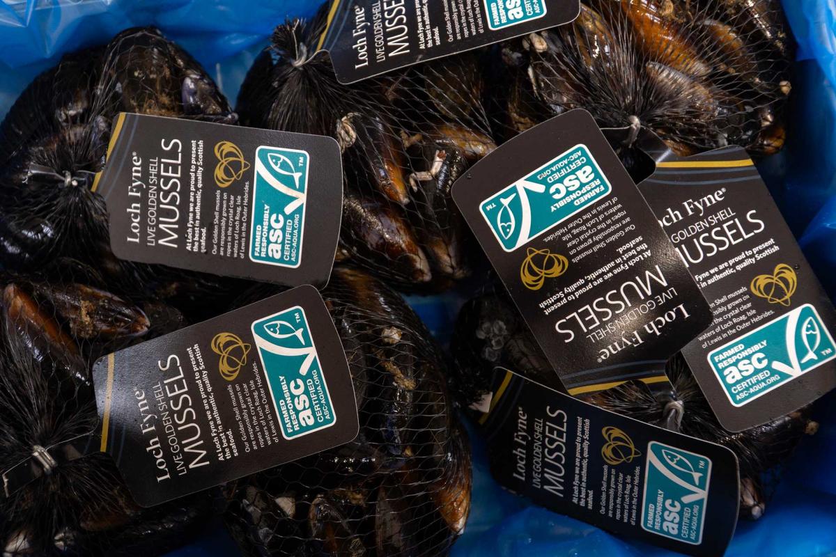 Loch Fyne Mussels - Production