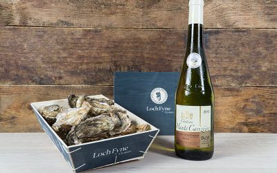 12 Oysters and Wine