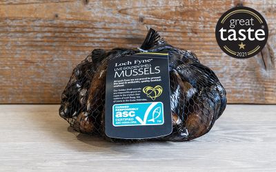 Fresh Golden Shell Mussels 1kg