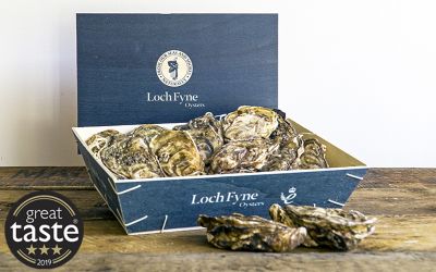 12 Loch Fyne Rock Oysters