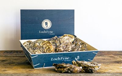 12 Loch Fyne Rock Oysters