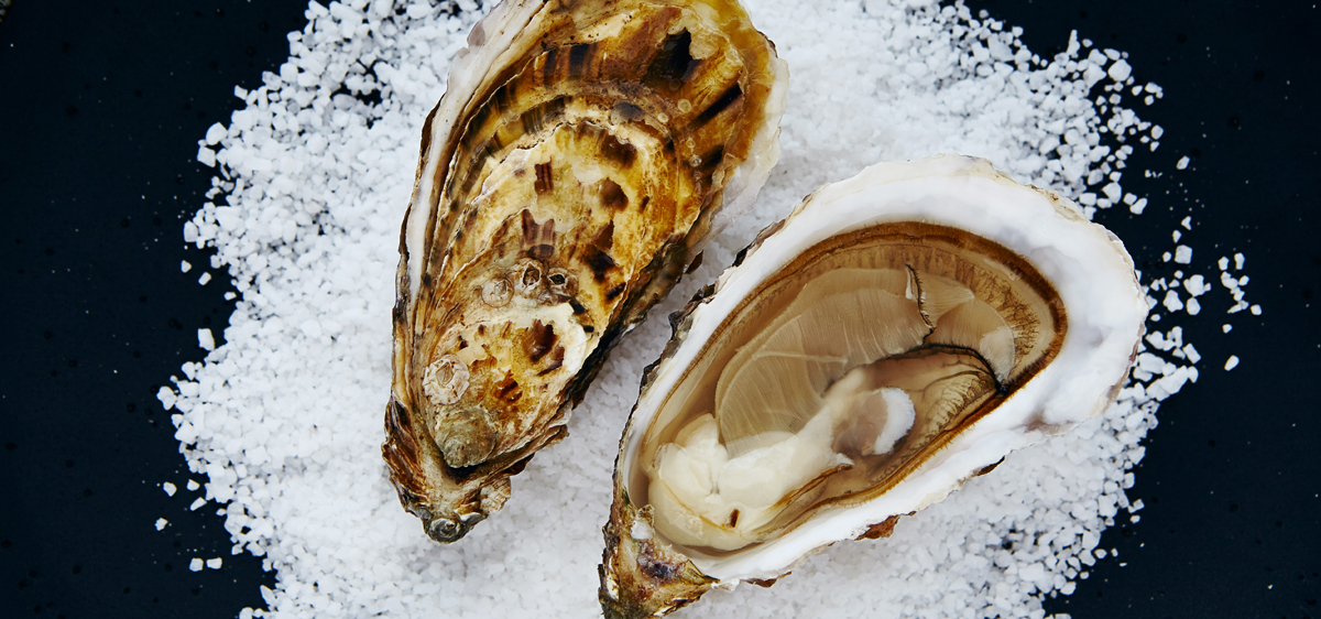 Loch Fyne Oysters