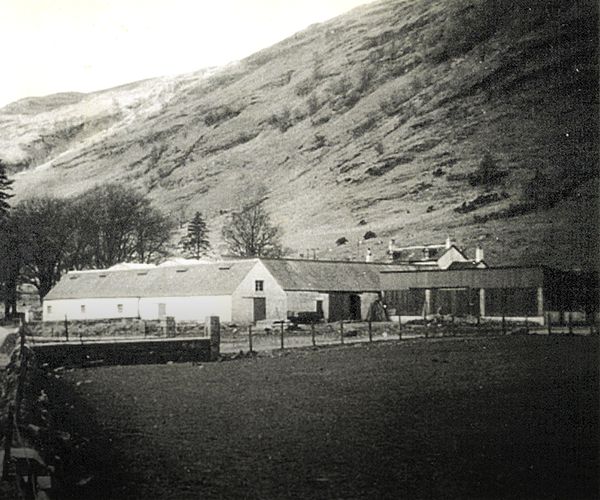 Loch Fyne Oyster Farm, Clachan, Argyll