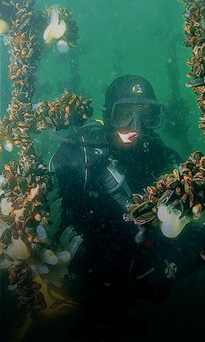 Loch Fyne Integrated Aquaculture