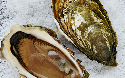 Discover Loch Fyne Oysters Wedding Menus