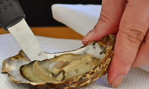 Oyster Opening 4
